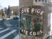All pigs are beautiful love pigs, hate cops