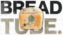 Stale Bread