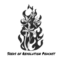 William Gillis on Radical vs Liberal Abolitionism 